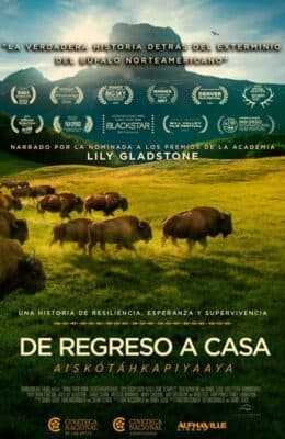 DE REGRESO A CASA