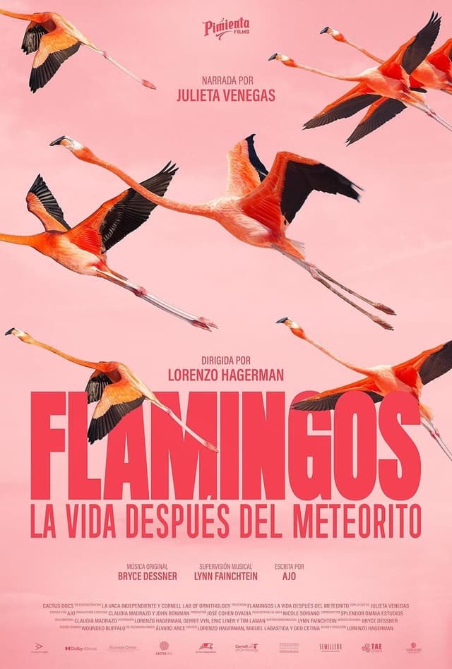 FLAMINGOS, LA VIDA DESPUÉS DEL METEORITO