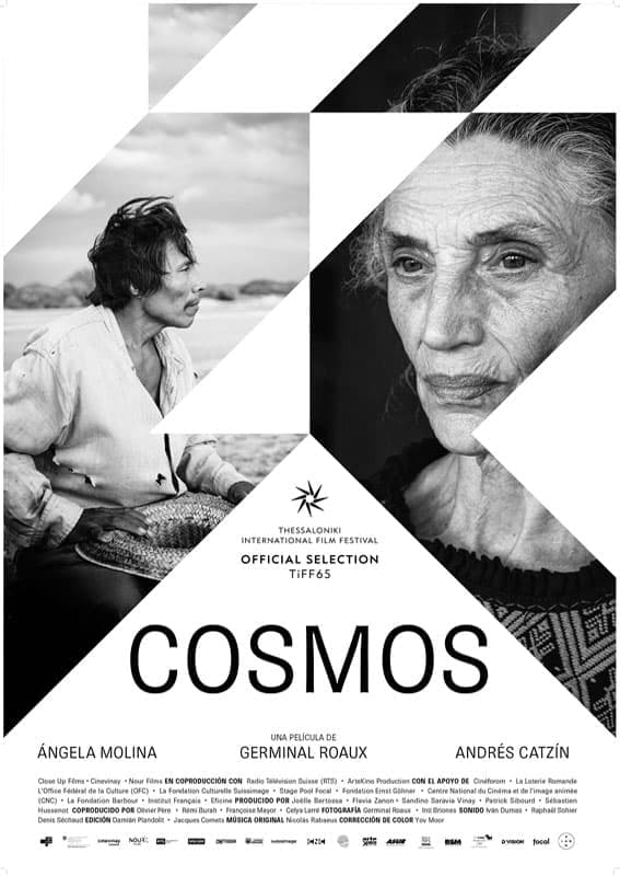 COSMOS